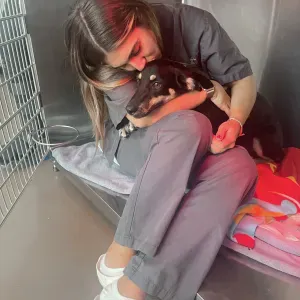 Pet Sitting no Porto e arredores 