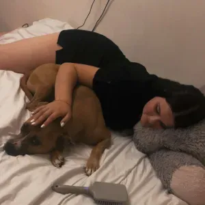 Pet-sitter a calais (nord pas de calais)