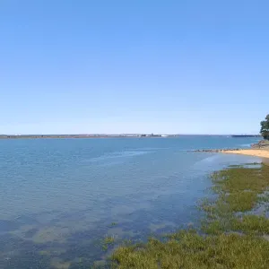 Pet sitting no algarve em Portugal 