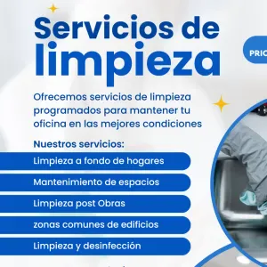 Profesional de la limpieza  con experiencia al mejor precio