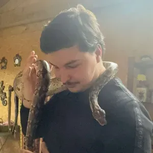 Garde d'animaux dans le 13 ( bouche du Rhône )