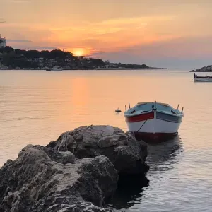Assistente anziani