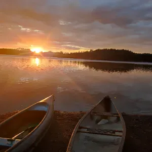 Poste pour un(e) dog-sitter - Petsitter à Sevrier