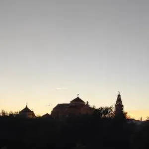 Cuidadora de animales en Córdoba Capital