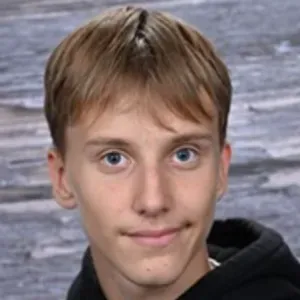 Babysitter expérimentée a Lecelles