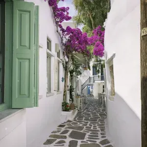 Souriante et avenante je suis disponible pour vous aider