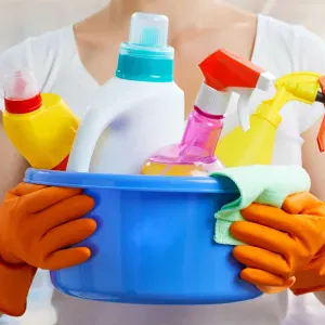 femme de ménage rigoureuse, responsable  Pays de Gex