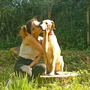 Le paradis de nos amis a quatre pattes