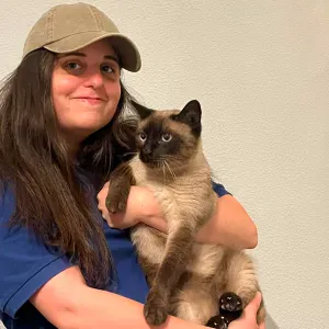 Pet Sitting & Pet walking em Porto