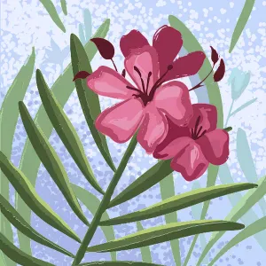 Prof particulier étudiante à Amiens