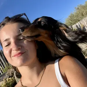 Pet sitteuse déclarée et assurée à Mortagne au Perche