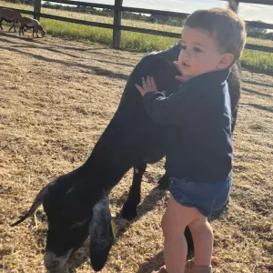 Cherche super nounous pour nos 2 garçons à Saint Cloud