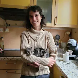 Gardez des chien à vitre domicile