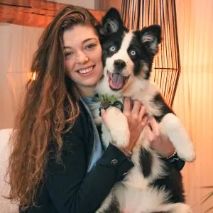 Je m'occupe de vos animaux (chien-chat-cheval) - Obernai 