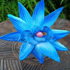 Agent entretien sur Marseille 