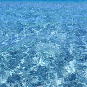 Offerta di lavoro per pulizie a Castel San Pietro Terme