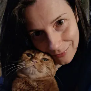 Cat sitter di fiducia, Legnano e dintorni. 