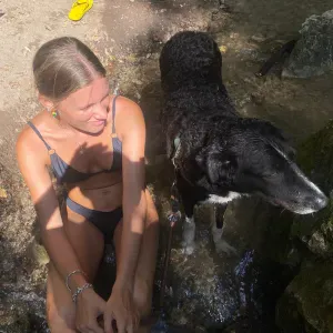 Pet sitting ad Arezzo e dintorni