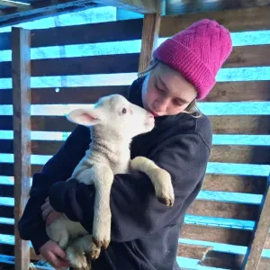 Pet - sitter sur sin le Noble 