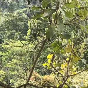 Poste de femme de ménage à Mamer