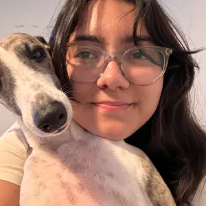 Pet sitting em Coimbra para fins de semana