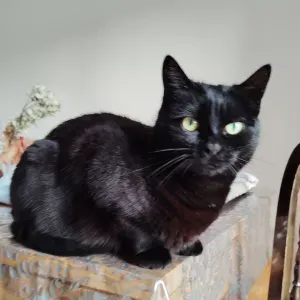 Accompagnement et services aux alentours de Toulon 