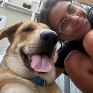 Pet sitting em Lisboa: Passeios e mimos garantidos!