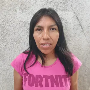 Femme de menage sur Nancy et environs