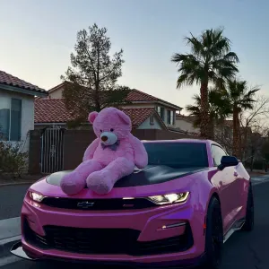 Femme de ménage responsable dans le 91