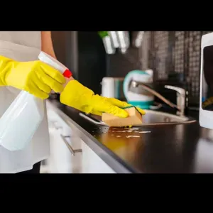 Assistante ménagère à Nantes depuis 3 ans