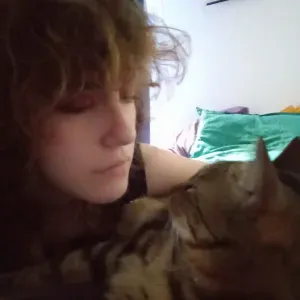 Cat sitting cool dans Orvault 