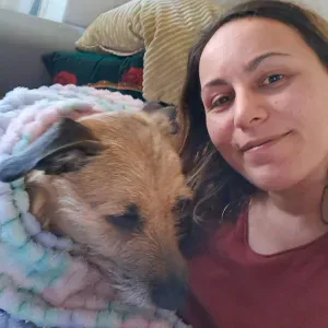 Primeiro ciclo: língua portuguesa e inglesa