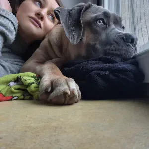 Femme de ménage et aide a domicile