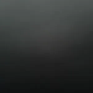 Ménagère et accompagnement