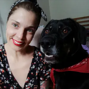 Pet sitting, dog walking, treino de obdiência