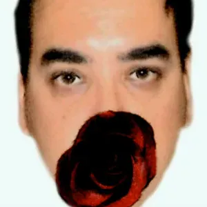 Cerco un servizio di pulizie vicino a me