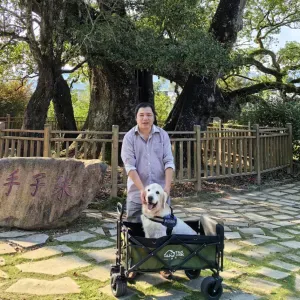Pet-Sitter à Vitry-sur-Seine | 10+ ans d'expérience