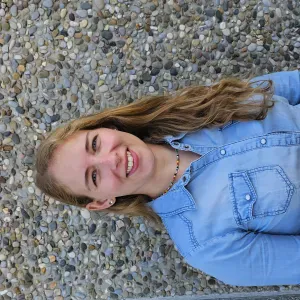 Femme de ménage entre Selestat et Fegersheim