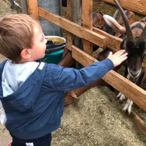 Je cherche une nourrice périscolaire