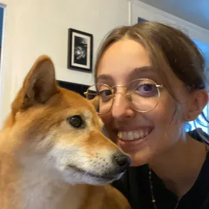 Prof particulier d'anglais à Lille 