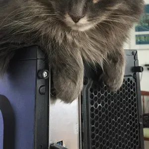 Recherche femme de ménage