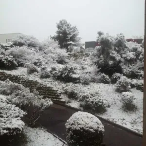 Femme de ménage sur Nîmes et cest alentours 