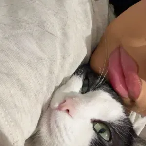 Aide-ménagère expérimentée disponible à Lyon