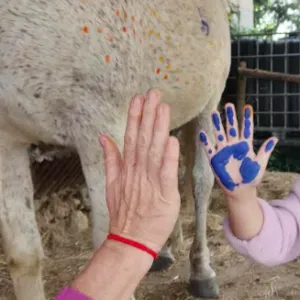 étudiante baby sitter à saint laurent sur sèvre