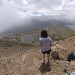 Cercasi servizio di pulizie