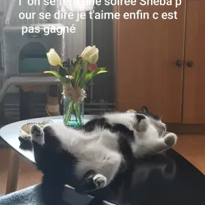 Emploi de Petsitter Saint-Genis-Laval