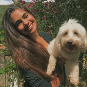 Pet sitting em Coimbra, Portugal 