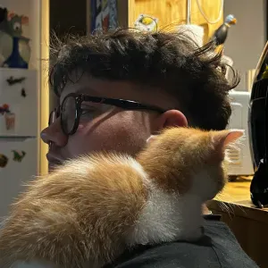 Pet-sitter au Mans et au alentours !