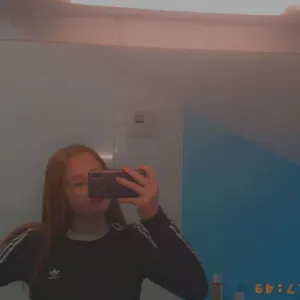 Visite d'animaux , promenade de vos toutou 