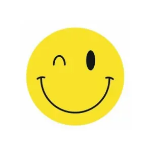 Looking for English tutor for 7th grader